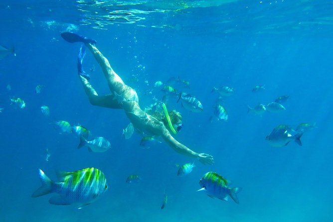 Riviera Maya Luxury Snorkeling Cruise with Lunch and Drinks - Price, group size, and what you receive for $139