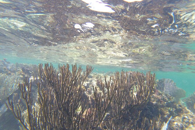 Riviera Maya Snorkeling - What the Included Transportation Adds