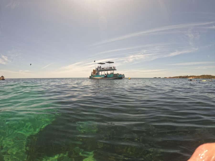 Rockingham: 3 Island Wildlife Snorkeling Cruise with Lunch - Snorkeling in the marine park