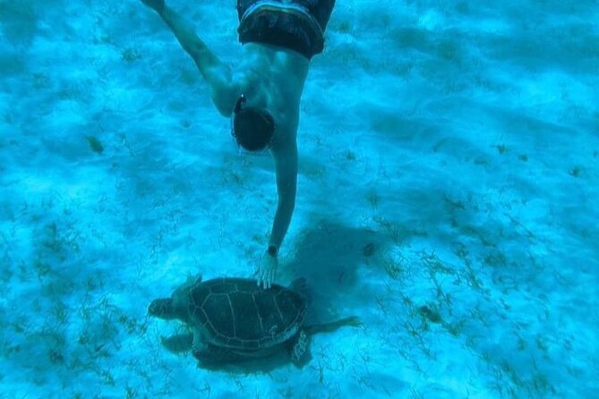 Rose Island Adventure: Snorkel, Sea Turtles, and Private Beach - Lunch, snacks, and drinks included