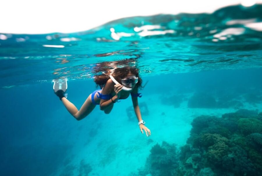 Roses boat trip Special: snorkeling in Cap de Creus - Key points to know before booking