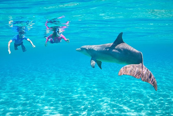 ROYAL Dolphin House & Water Sports Snorkeling Sea Trip - Hurghada - Quick facts about the Dolphin House cruise