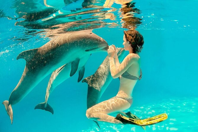 ROYAL Dolphin House & Water Sports Snorkeling Sea Trip - Hurghada - Dolphin House and the limits of a wild encounter