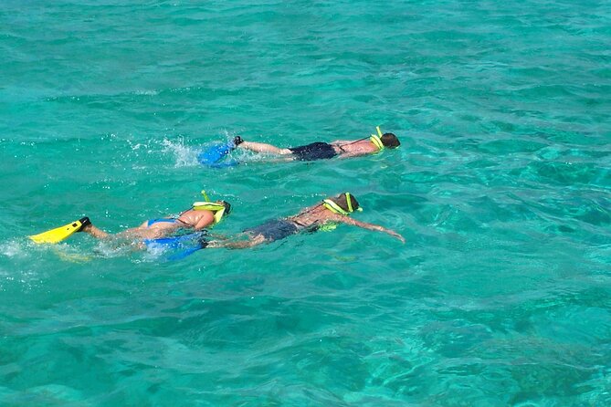 Sail and Snorkel at Cades Reef - Who should book the Cades Reef catamaran?