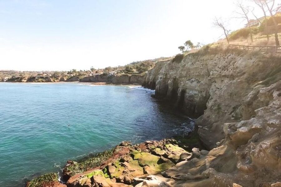 San Diego: La Jolla Cove Guided Snorkeling Tour - What the $90 price includes