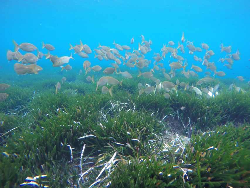 San José: Cabo de Gata Natural Park Kayak and Snorkel Tour - Practical tips for a smoother outing