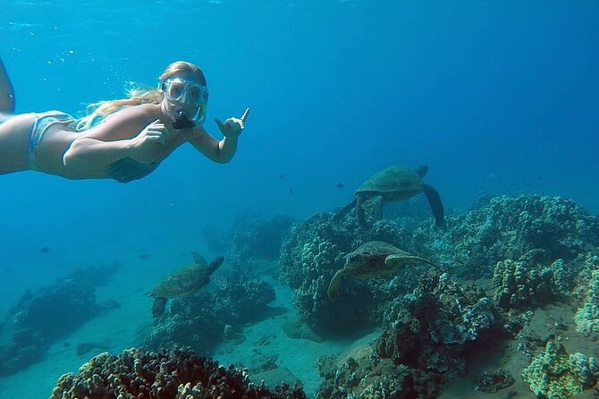 San Juan Guided Snorkel With Turtles Tour and Videos - Key points before you book