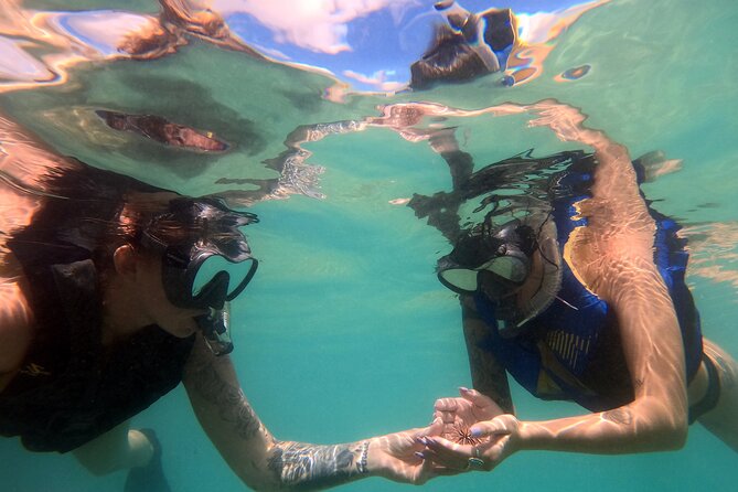 San Juan Guided Snorkel With Turtles Tour and Videos - What the $42.30 price really gets you