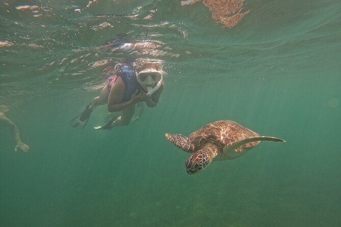 San Juan Turtle Spotting Snorkel Adventure with Videos - Starting at Batería del Escambrón