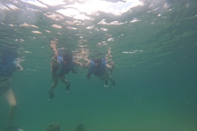 San Juan Turtle Spotting Snorkel Adventure with Videos - Why the guides matter so much