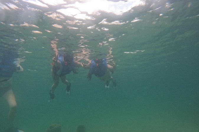 San Juan Turtle Spotting Snorkel Adventure with Videos - Who should book this outing