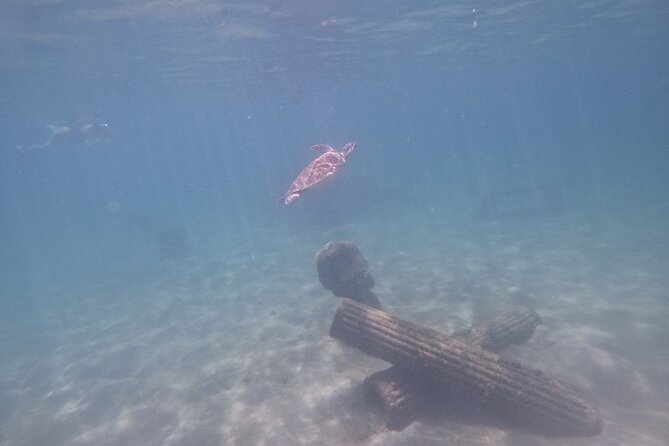 San Juan Turtle Spotting Snorkel Adventure with Videos - Swimming through El Escambrón’s turtle area