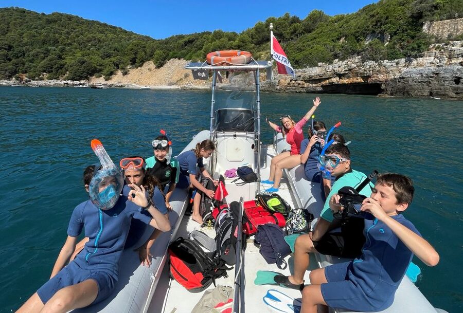 San Terenzo: Portovenere Natural Park Snorkeling Trip - Key points to know before you book