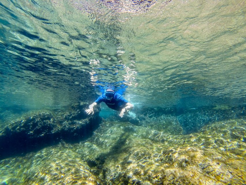 San Terenzo: Portovenere Natural Park Snorkeling Trip - Meeting at San Terenzo near Lerici