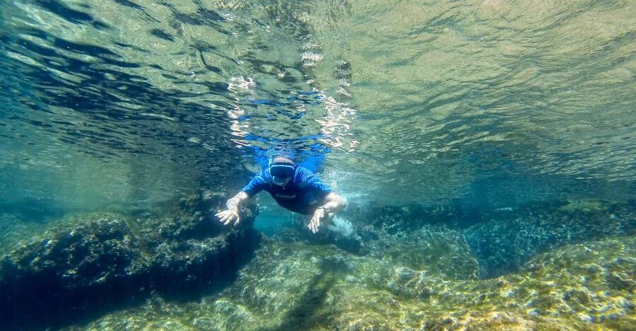 San Terenzo: Portovenere Natural Park Snorkeling Trip - Portovenere Natural Park and the marine protected area