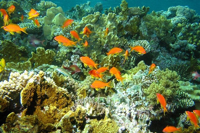 Santa Maria and Chileno Bay Snorkel Adventure Los Cabos - Land’s End Arch and the Ride Along the Coast