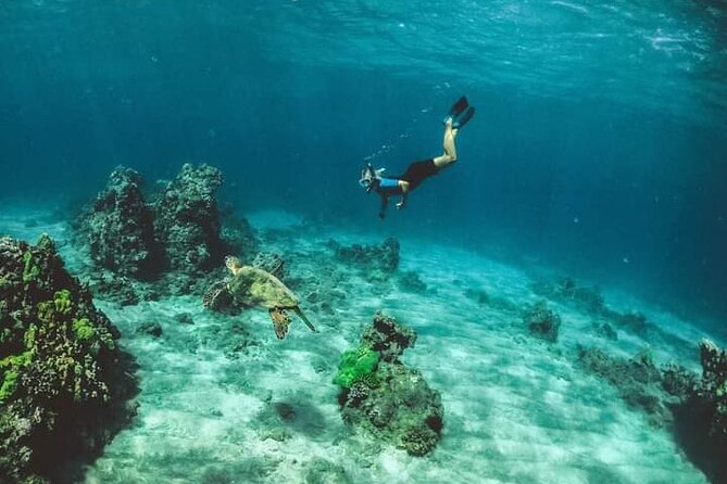 Santa Maria and Chileno Bay Snorkel Adventure Los Cabos - Is $95 a Fair Price?