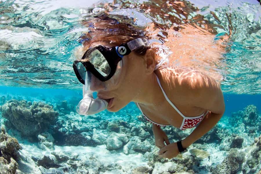 Santa Maria: Guided Snorkeling and Reef Tour - Quick facts about the Santa Maria reef trip