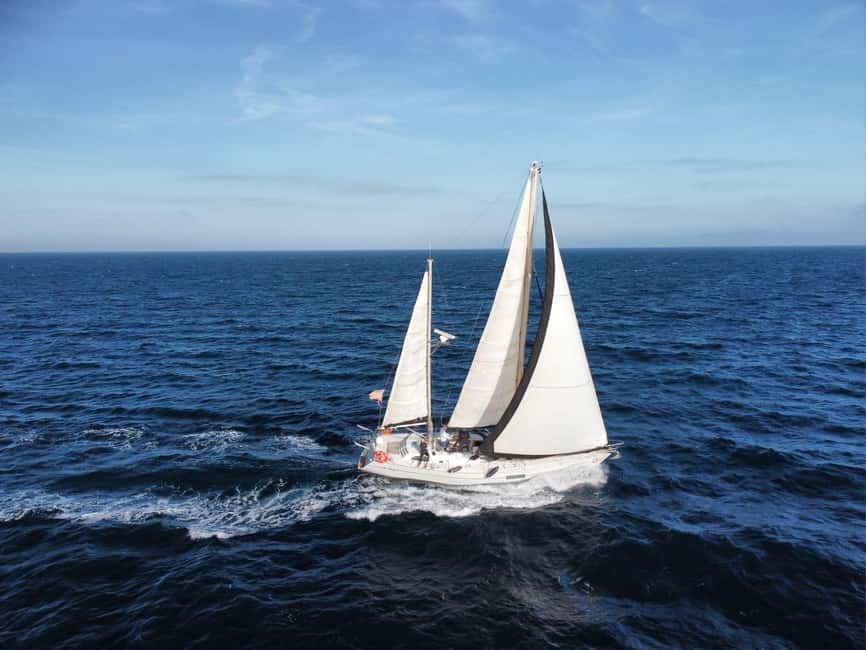 Santa Pola: Sail to Tabarca, snorkel, and enjoy sunset with a tasting - Key points to know before booking