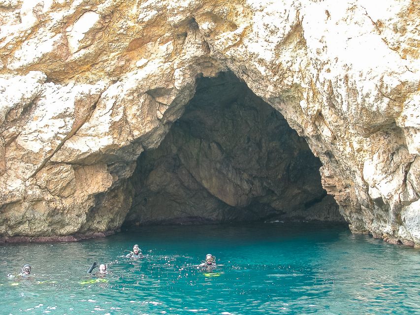 Santa Ponsa: Snorkeling Tour in a Marine Reserve - What you see beneath the surface