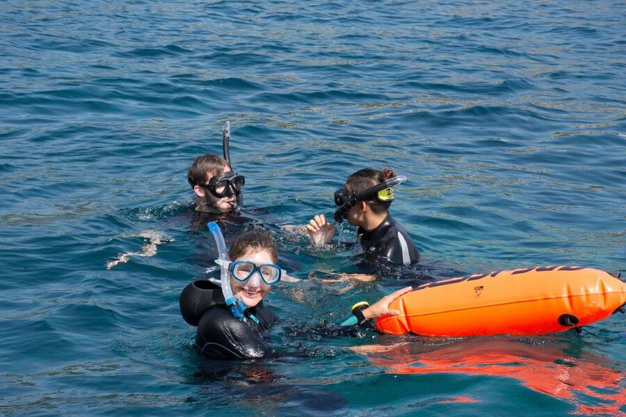 Santa Ponsa: Snorkeling Tour in a Marine Reserve - Equipment that makes the water time easier