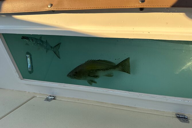 Santorini Fishing Private Cruise boat tour - BBQ, Snorkeling - Who will enjoy this cruise most