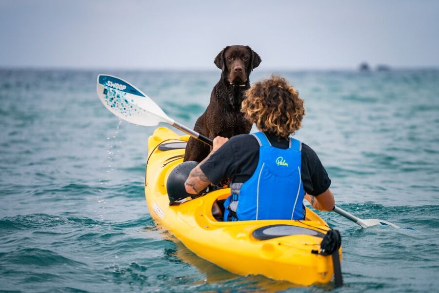 Santorini: Sea Caves Kayak Trip with Snorkeling and Picnic - Why the small group changes the experience
