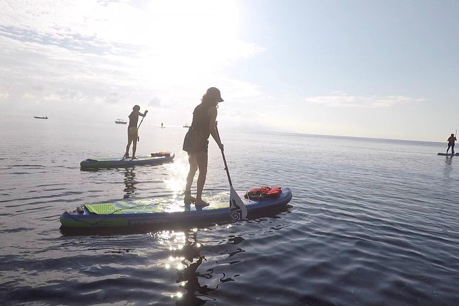 Santorini: Stand-Up Paddle and Snorkel Adventure - Learning to stand on Santorini’s water