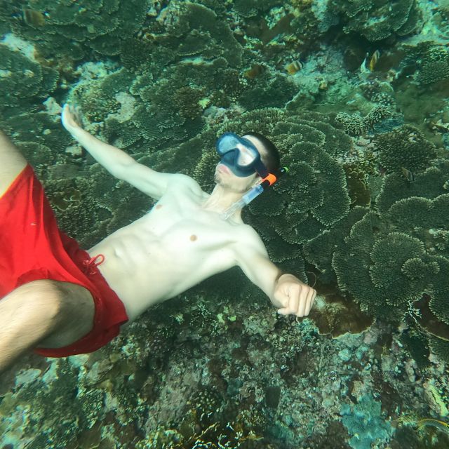 Sanur: Coastal Area Snorkeling Session - Should you book the Sanur snorkeling session?