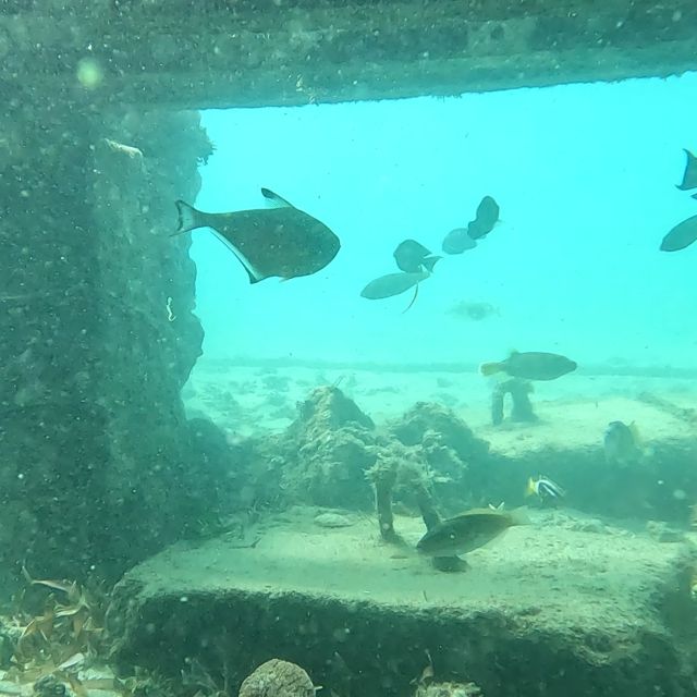Sanur: Coastal Area Snorkeling Session - A quick Sanur snorkel for a modest price