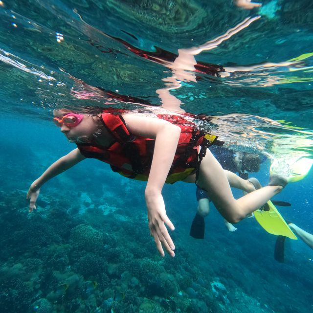 Sanur: Coastal Area Snorkeling Session - The 1.5-hour snorkeling session