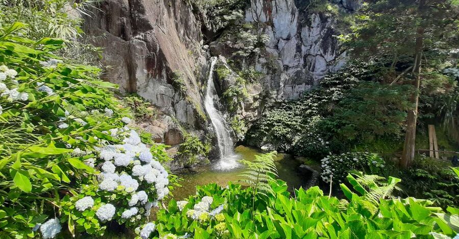 São Miguel Azores: Hike and Snorkeling with a local - Final verdict: a strong half-day choice on São Miguel