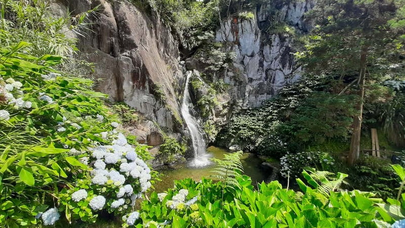 São Miguel Azores: Hike and Snorkeling with a local - A moderate walk with views, village character, and a waterfall