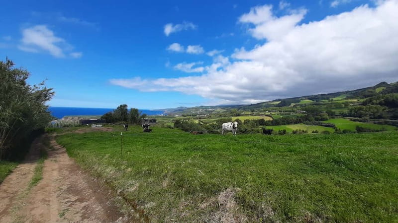 São Miguel Azores: Hike and Snorkeling with a local - Why the group size matters