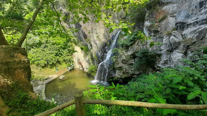 São Miguel Azores: Hike and Snorkeling with a local - How the $104 price measures up