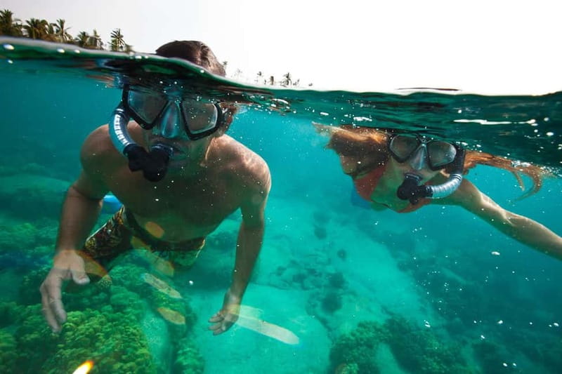 São Miguel Azores: Hike and Snorkeling with a local - Leaving the tarmac for São Miguel’s forest