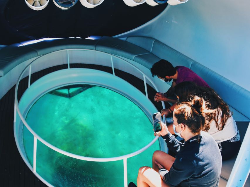 São Miguel: Glass Bottom Boat Tour with Snorkeling - What you may see below the surface