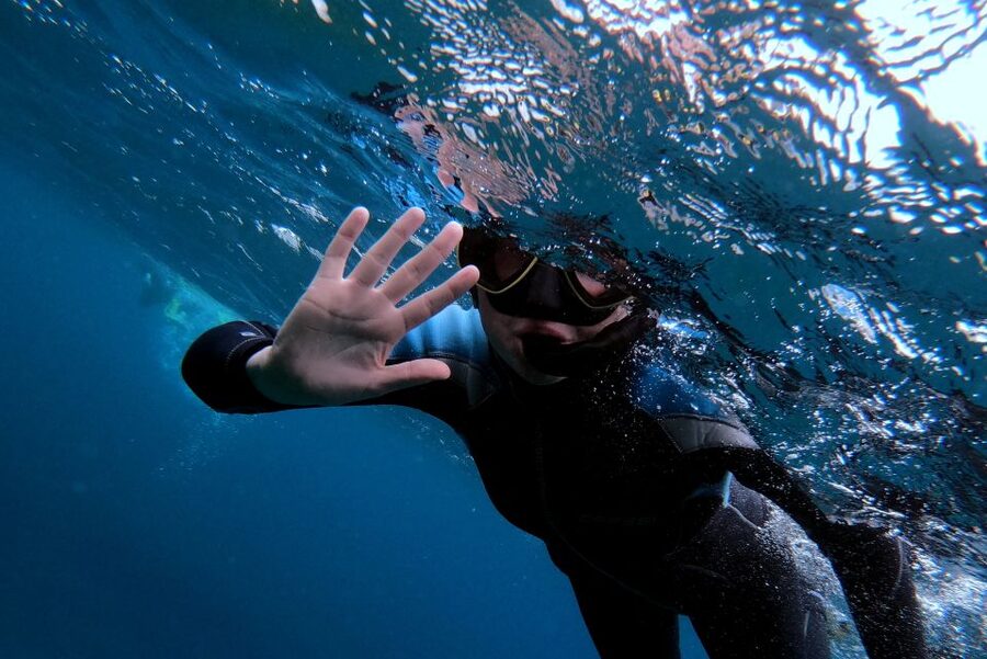 Sao Miguel: Snorkeling around Vila Franca do Campo - Five things to know before booking