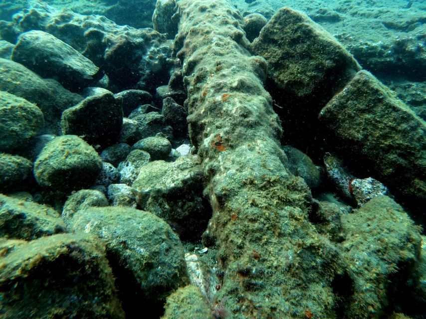 Sao Miguel: Snorkeling around Vila Franca do Campo - Why Vila Franca do Campo makes a good snorkeling setting