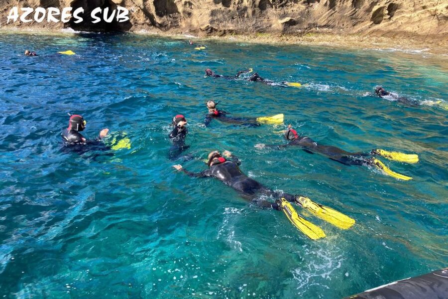 Sao Miguel: Snorkeling around Vila Franca do Campo - The 30-minute briefing is worth your time