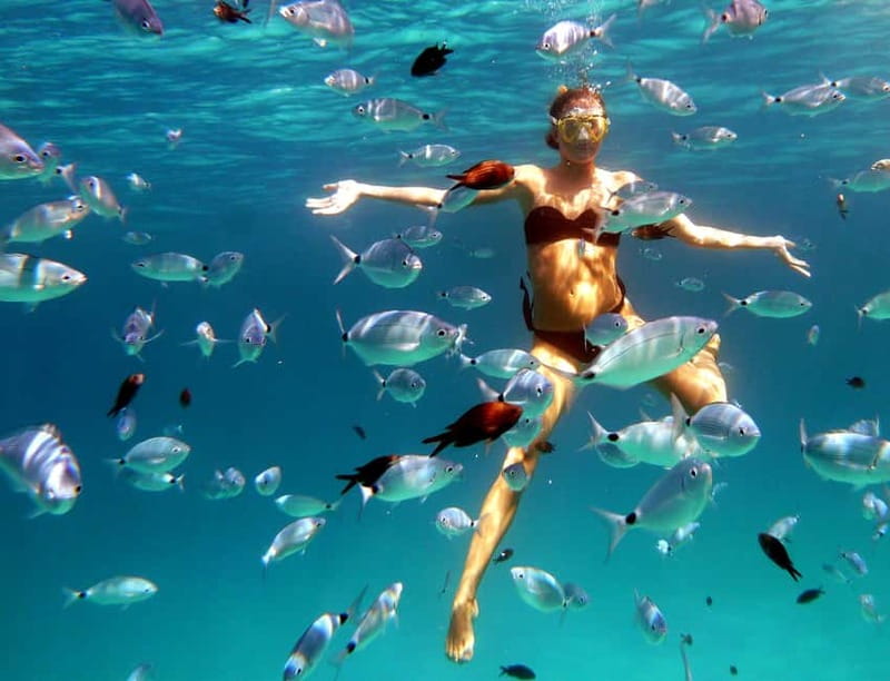Sardinia: Morning Kayak Tour + Snorkeling and Local Aperitif - Forty minutes toward Isola di Proratora