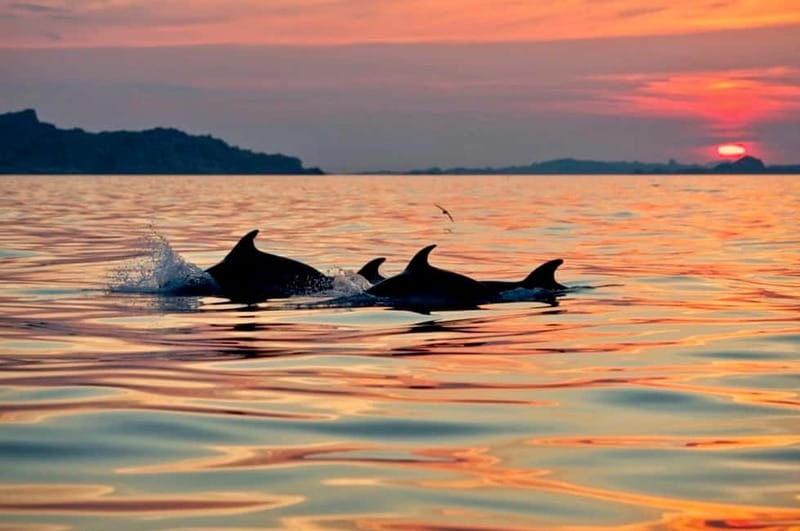 Sardinia: Sunset Kayak Tour + Snorkeling and Local Aperitif - Key points to know before you book