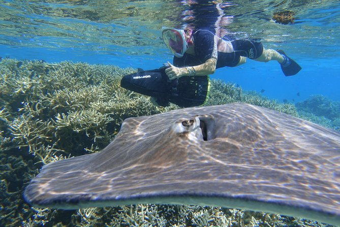 Sea Scooter Jet Snorkeling "Moorea Dream Adventure" - Guides, captains, and the small-group advantage