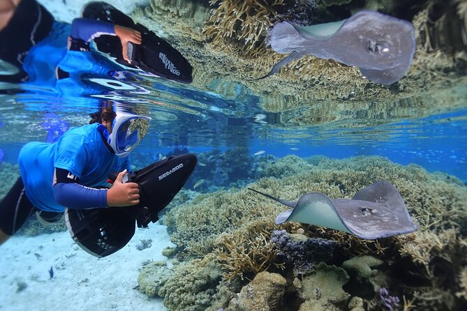 Sea Scooter Jet Snorkeling "Moorea Dream Adventure" - Who should book this Moorea adventure?