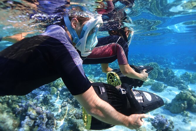 Sea Scooter Jet Snorkeling "Moorea Dream Adventure" - Second stop: a shorter look at different sea life
