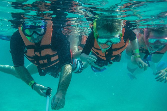 Sea Turtle Snorkeling Ecofriendly Tour from Cancun & Riviera Maya - Guides, safety, and the human side