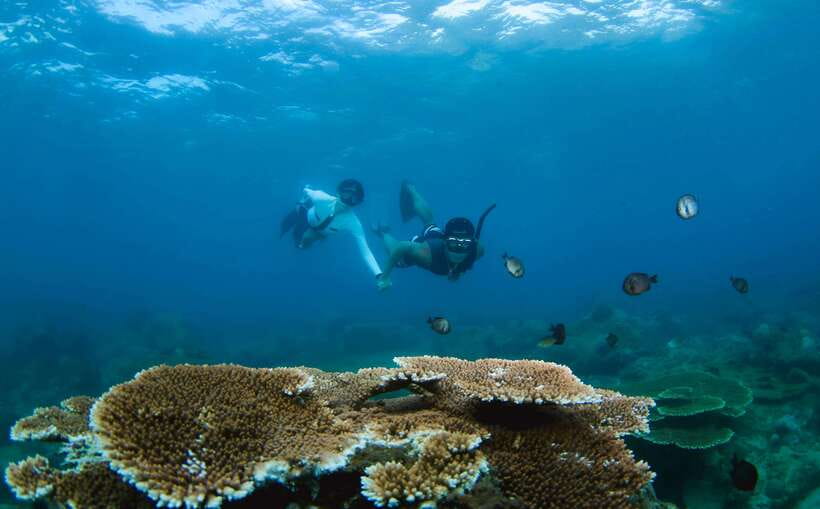 Semporna: Explore 3 Islands Tour Snorkel or Dive & Lunch - Timba Timba: the first taste of island water