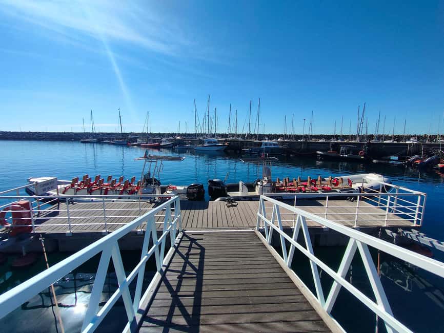 Sesimbra: Arrábida and Espichel Caves Tour and Snorkel - Boat comfort and group size