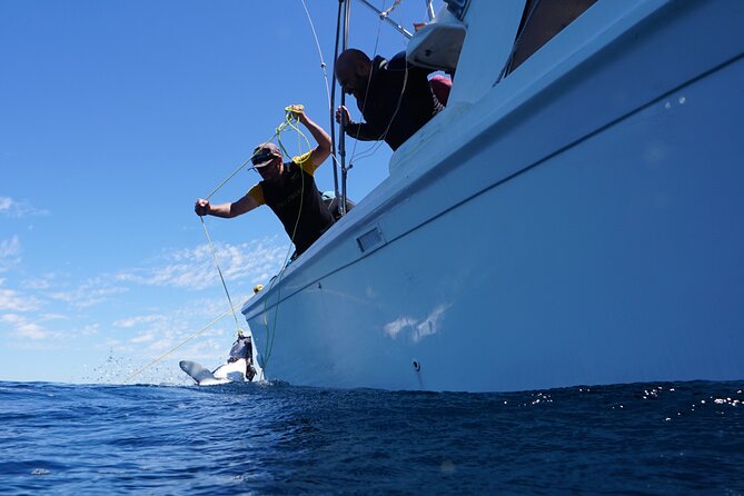 Shark Safari & Snorkel Adventure in Cabo San Lucas - The crew’s strongest feature is personal attention
