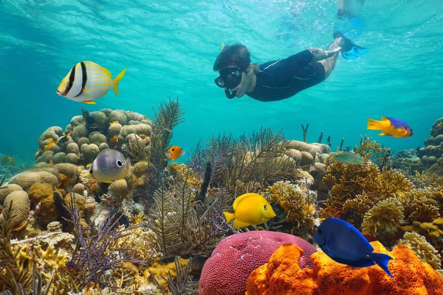 Sharm El Sheikh: Luxury boat Cruise with Snorkeling & Lunch - Setting out on the yacht